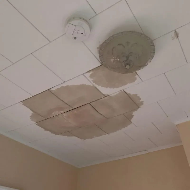 Ceiling Water Damage Repair in East End, AR