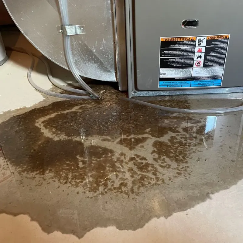 Pipe Burst and Leak Restoration in East End, AR