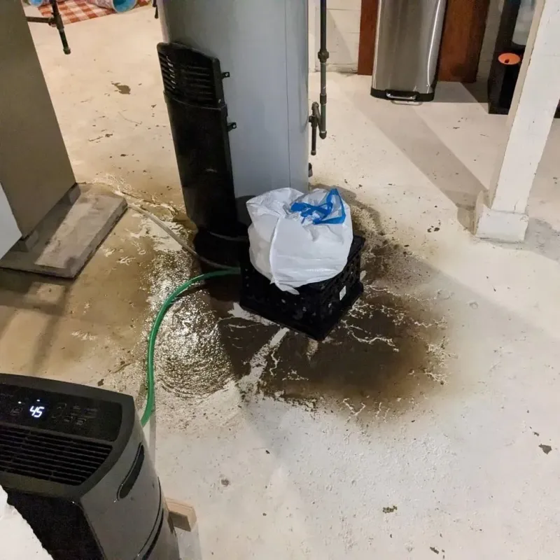 Sewage Backup Cleanup Service in East End, AR